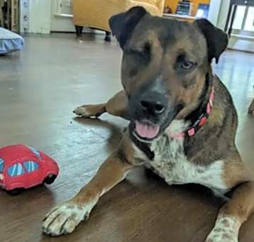 Photo of ECHO