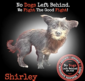 Photo of Shirley 4087