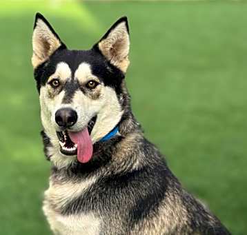 Photo of MILO