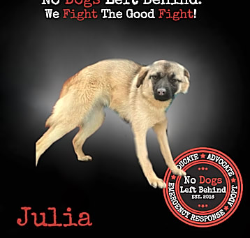Photo of Julia 4168