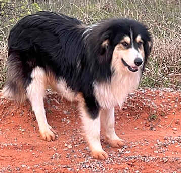 Photo of Lenny