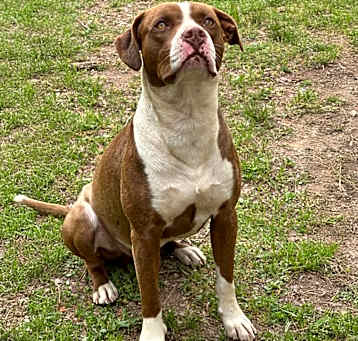 Photo of Big Boy