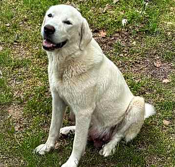 Photo of Mama