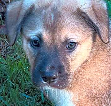 Photo of Graham