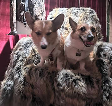 Photo of Ricky and Belle