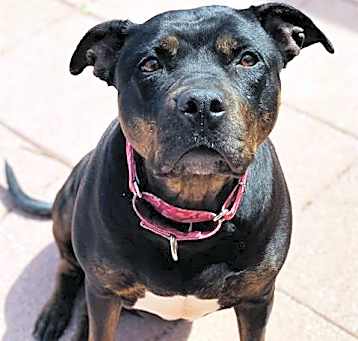Photo of MARCY