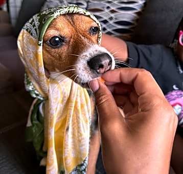 Photo of Bingo