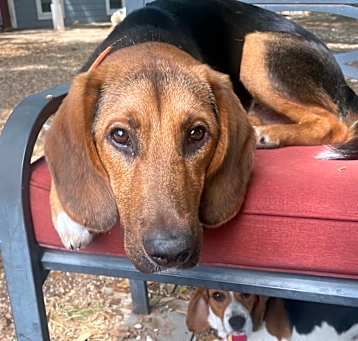 Photo of Coco