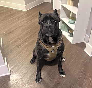 Photo of Kaiser
