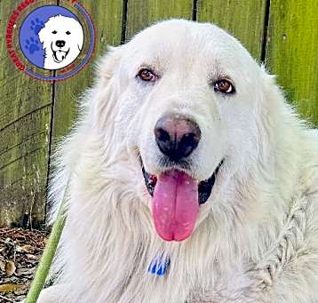 Photo of Beasley