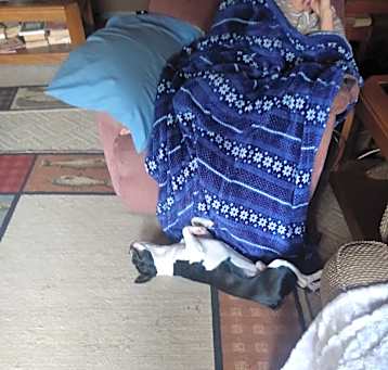 Photo of Super snooper