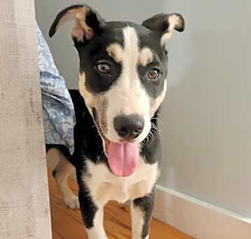 Photo of Lainey Mae - LOCAL!