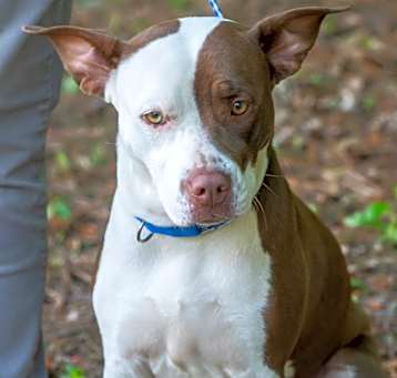 Photo of MELONIE-29741