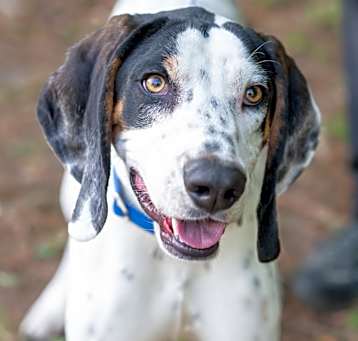 Photo of SHELDON-28725