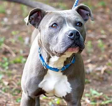 Photo of NEXUS-29742