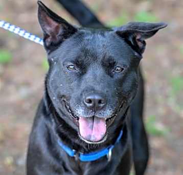 Photo of AMELIA-29738
