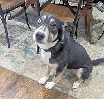 Photo of Azul