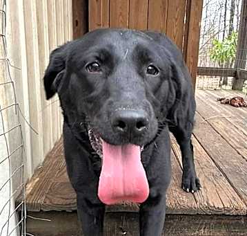 Photo of Fancy