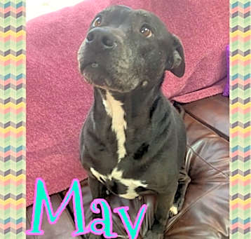 Photo of May