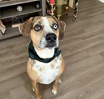 Photo of Renly