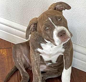 Photo of Patsy