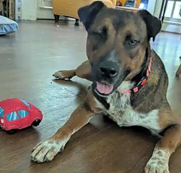 Photo of Echo