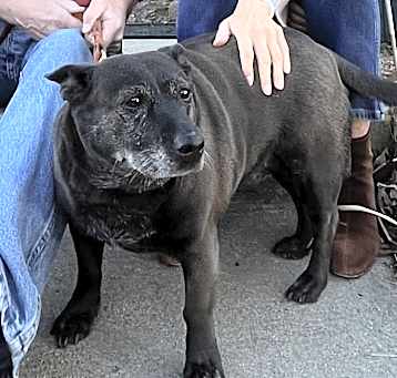 Photo of Molly