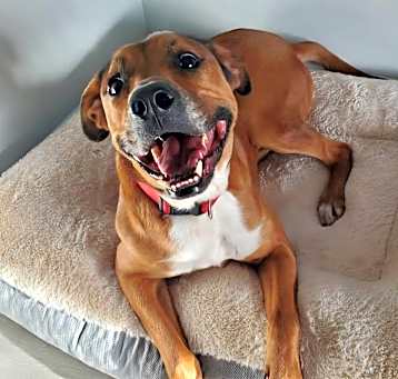 Photo of Tyson