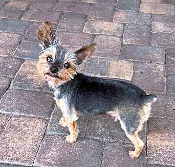 Photo of Max