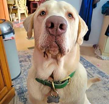 Photo of TITAN