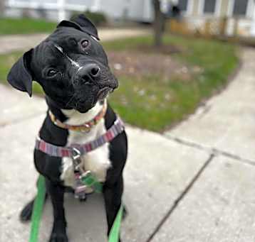 Photo of Thor