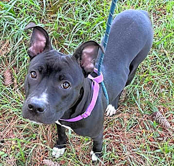 Photo of Lucy