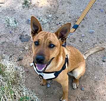 Photo of Athena