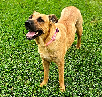 Photo of Sandy