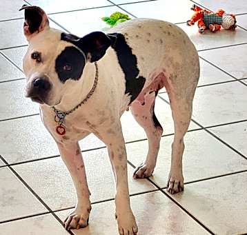 Photo of Annabelle