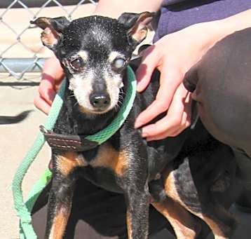 Photo of Eustice (In Foster Care)