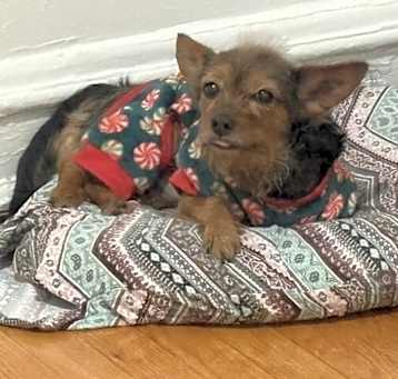 Photo of Thor