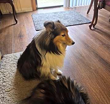 Photo of Abigail