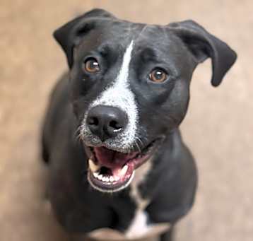 Photo of Maggie Mae