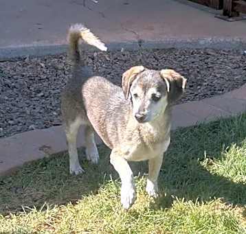 Photo of Wally