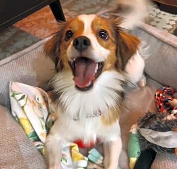 Photo of Penny