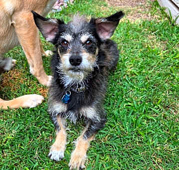 Photo of Cooper