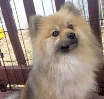 Photo of Cielo
