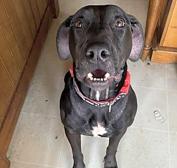 Photo of Sosa