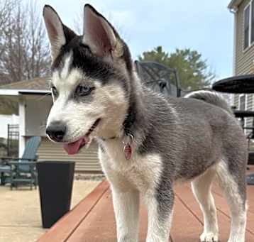 Photo of Bonnie