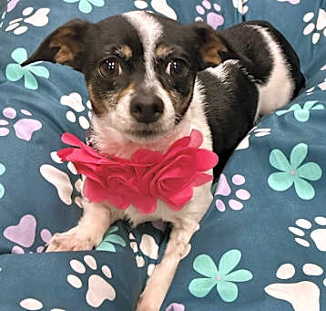 Photo of Ellie Mae