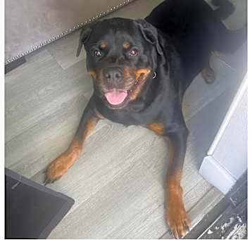 Photo of Cece
