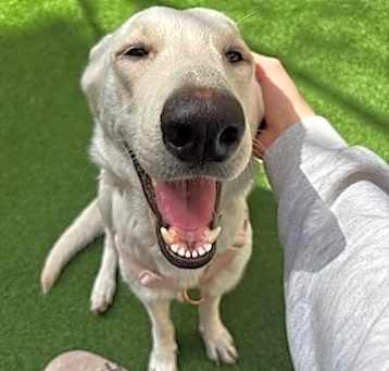 Photo of Elsa