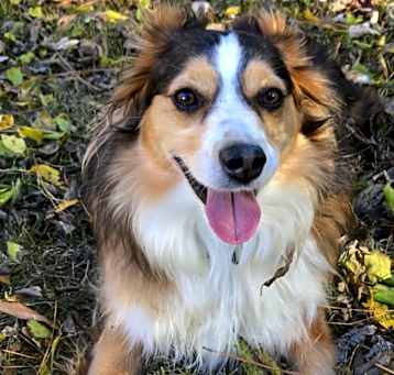 Photo of Oakley