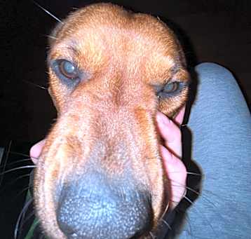 Photo of Joni